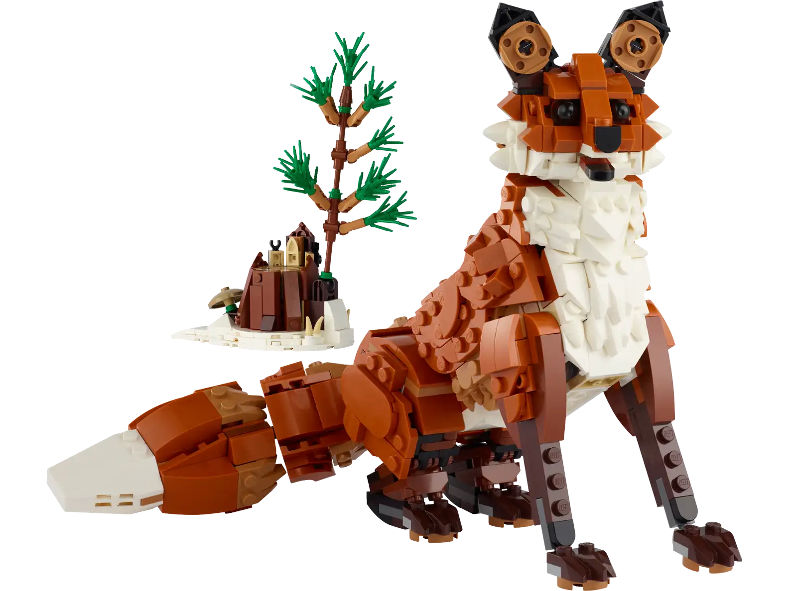 Forest Animals: Red Fox