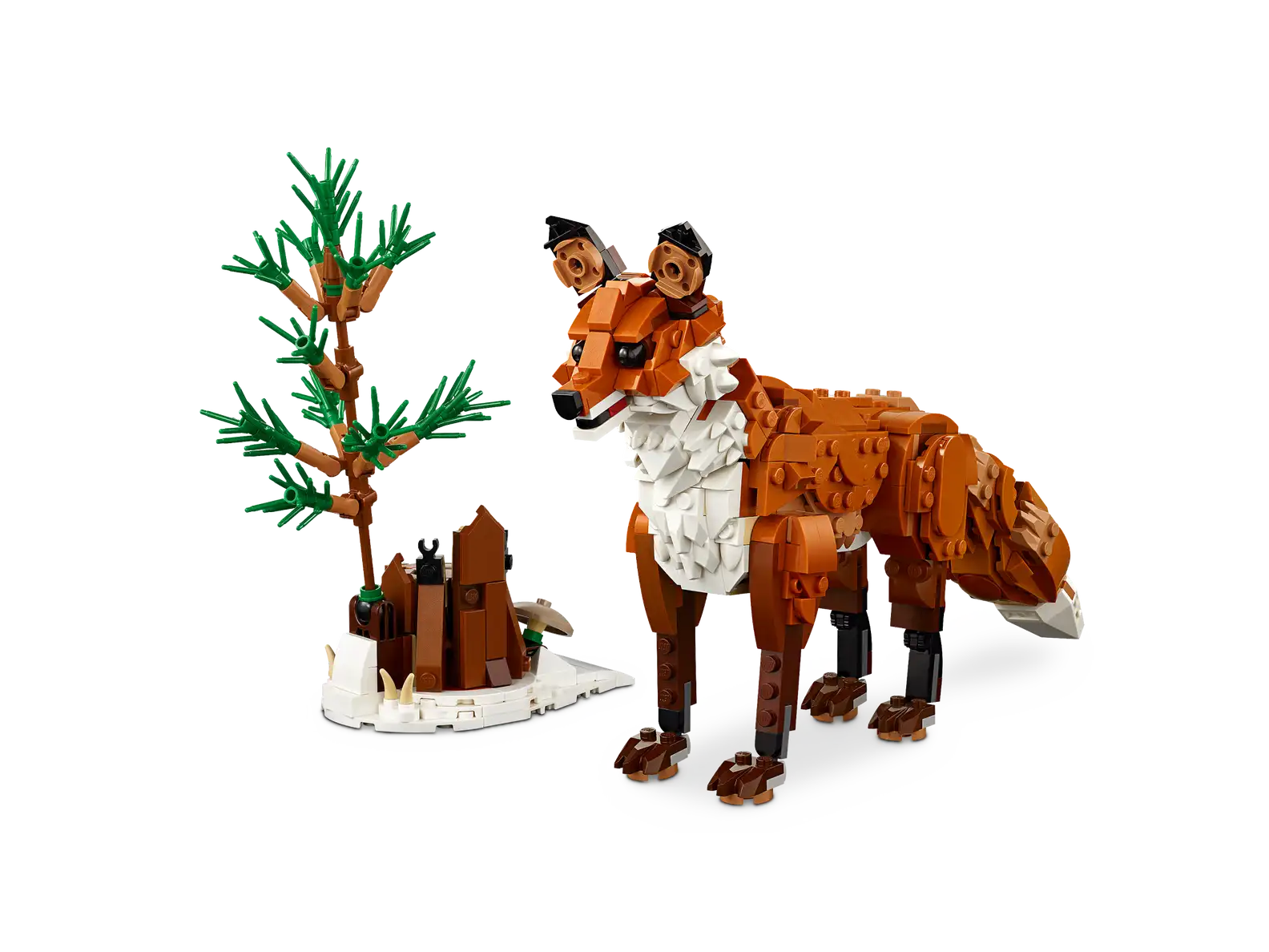 Forest Animals: Red Fox