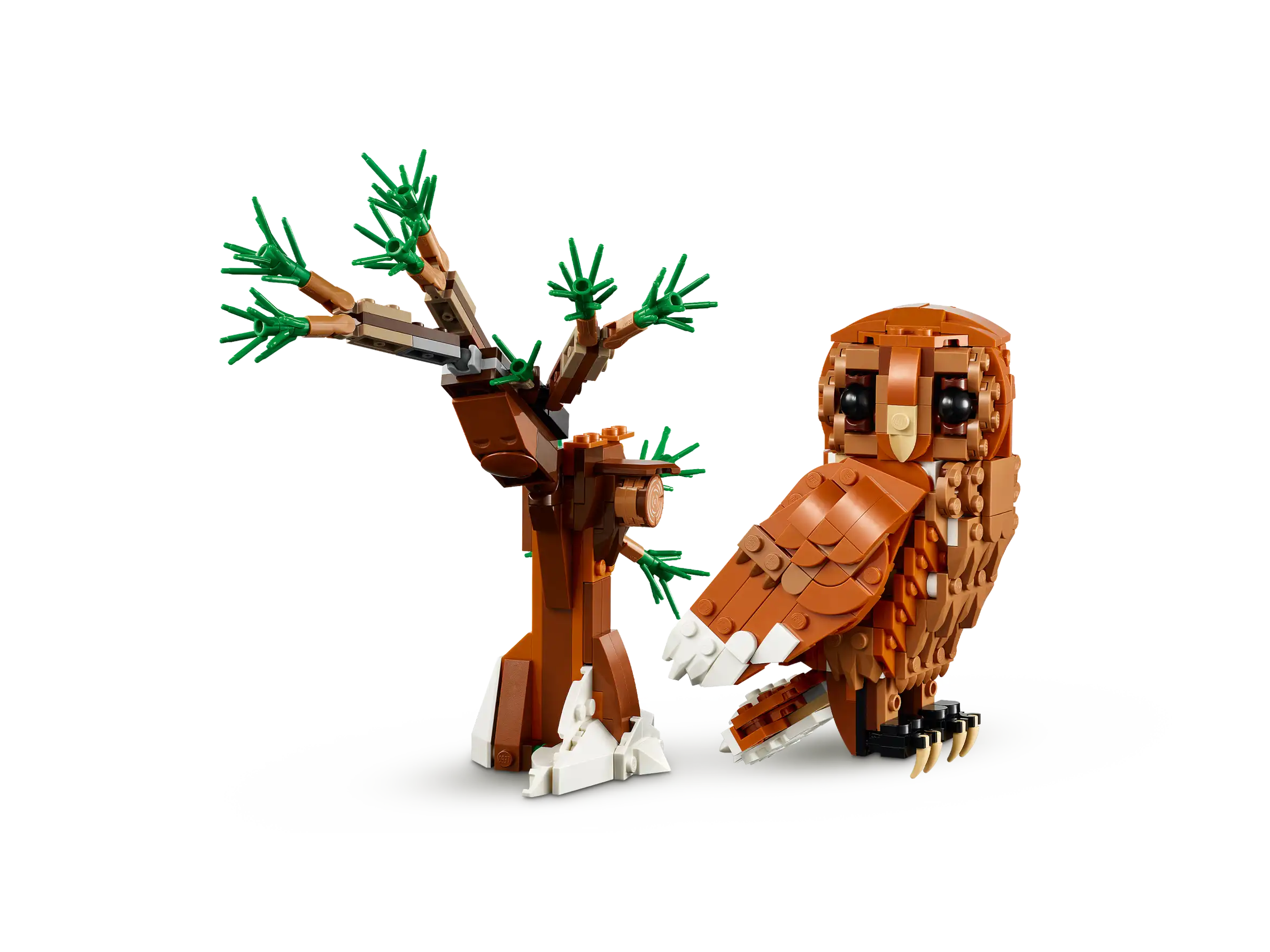 Forest Animals: Red Fox