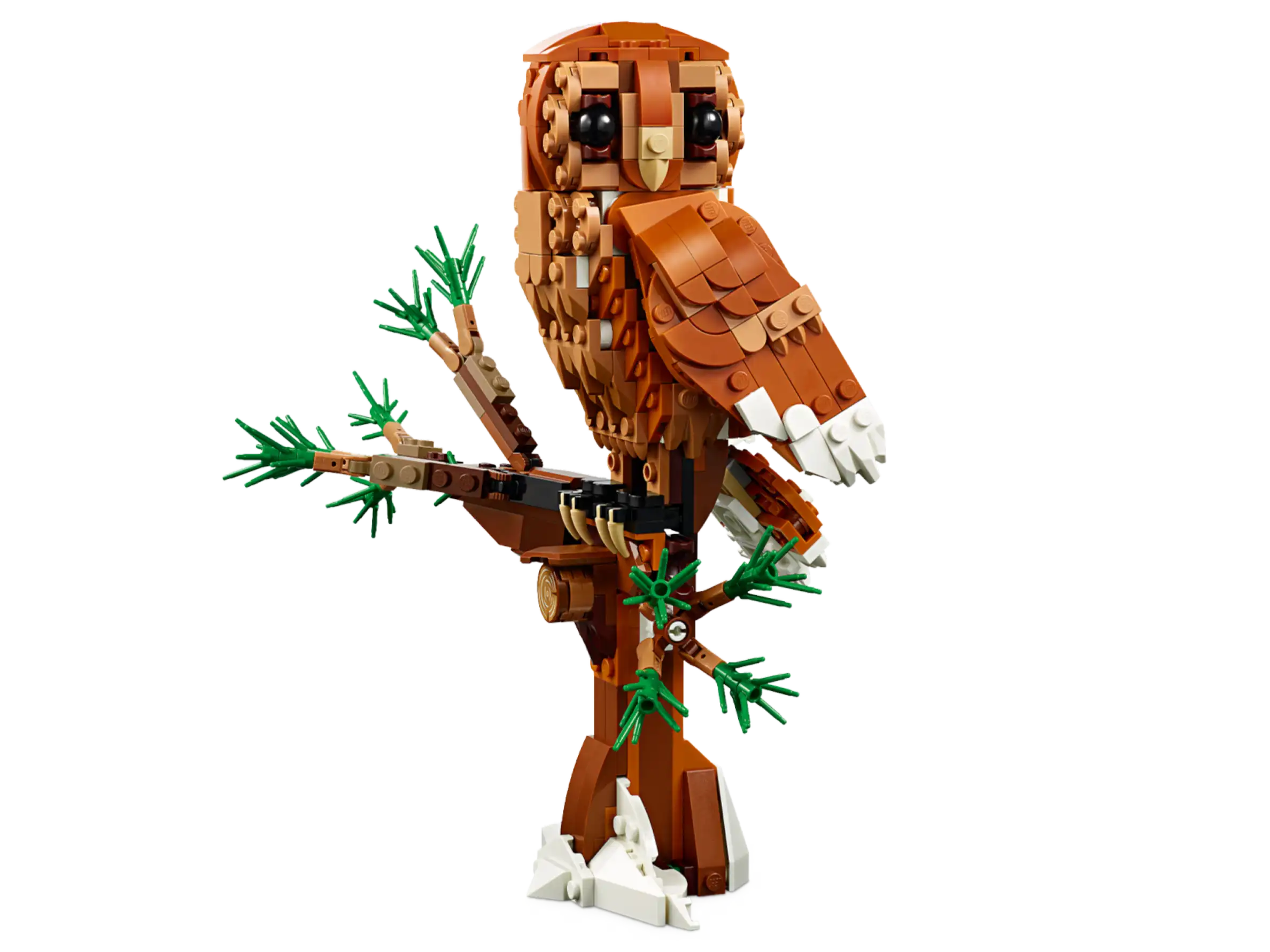 Forest Animals: Red Fox