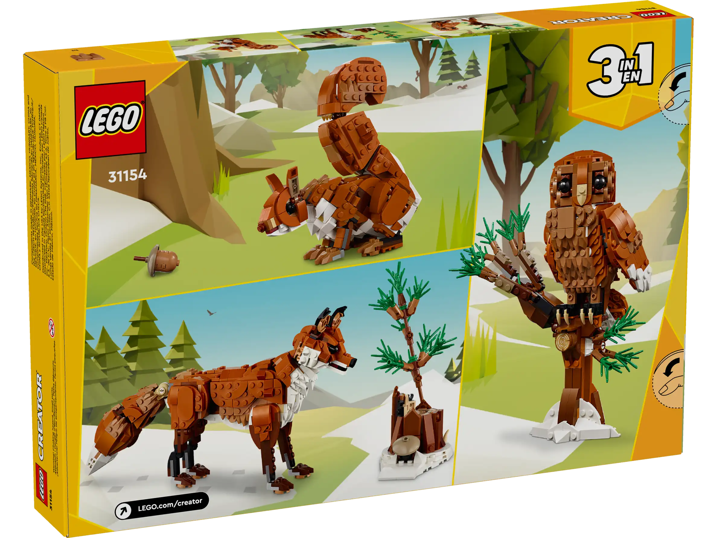 Forest Animals: Red Fox